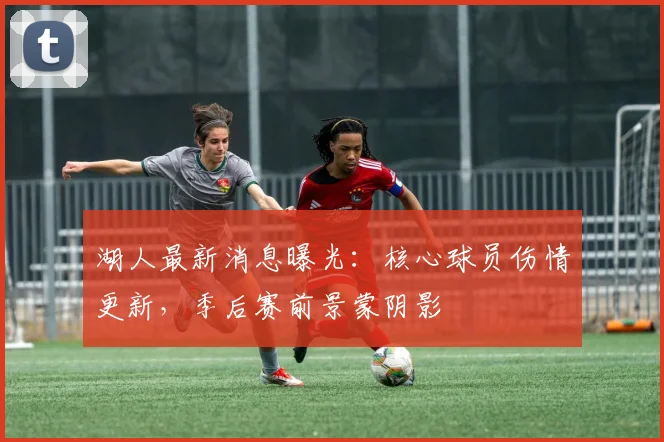 湖人最新消息曝光：核心球员伤情更新，季后赛前景蒙阴影