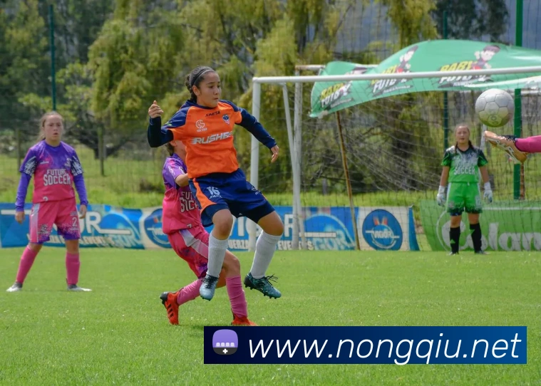 乐竞体育网页版登录界面APP 封面图